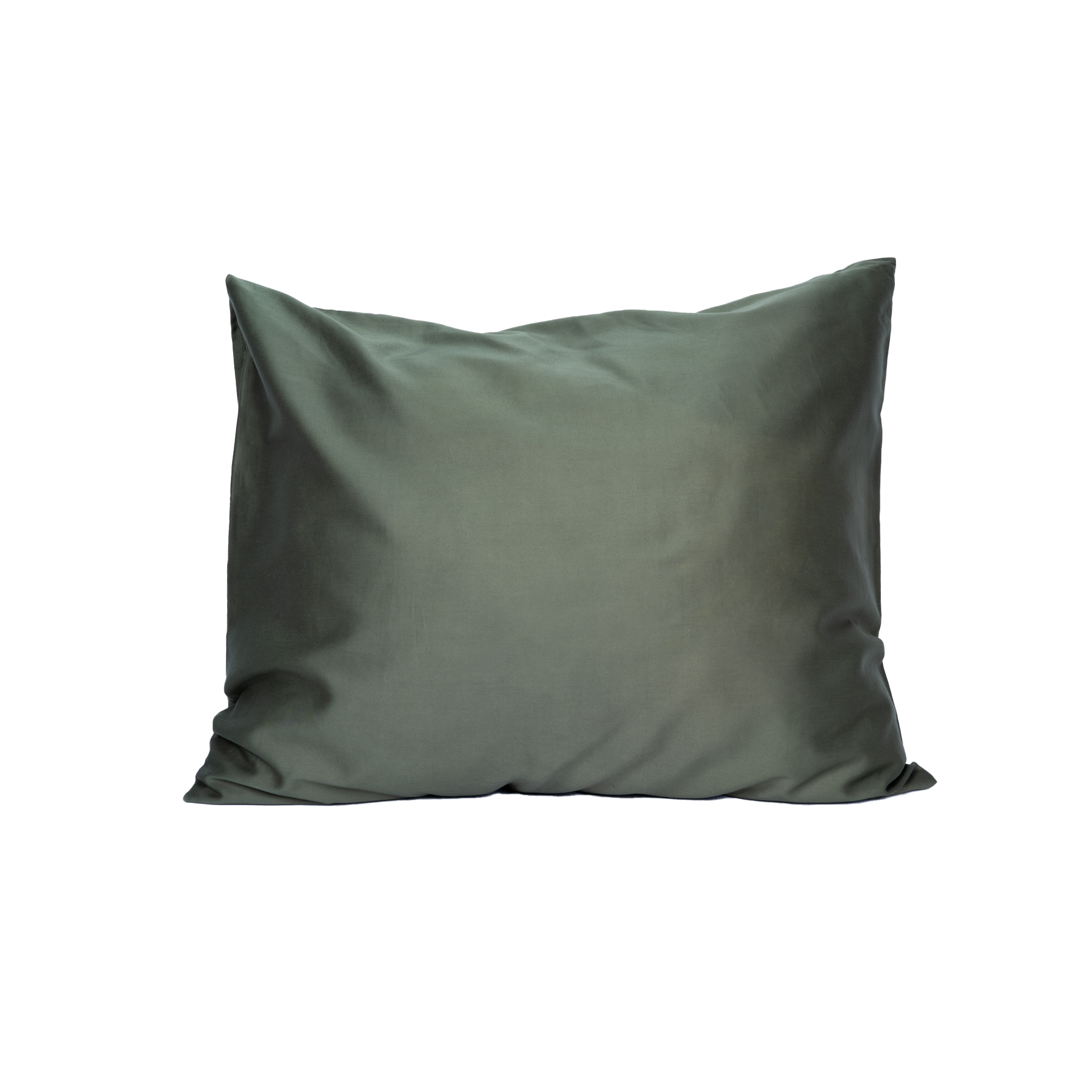 Satään Padjapüür Roheline