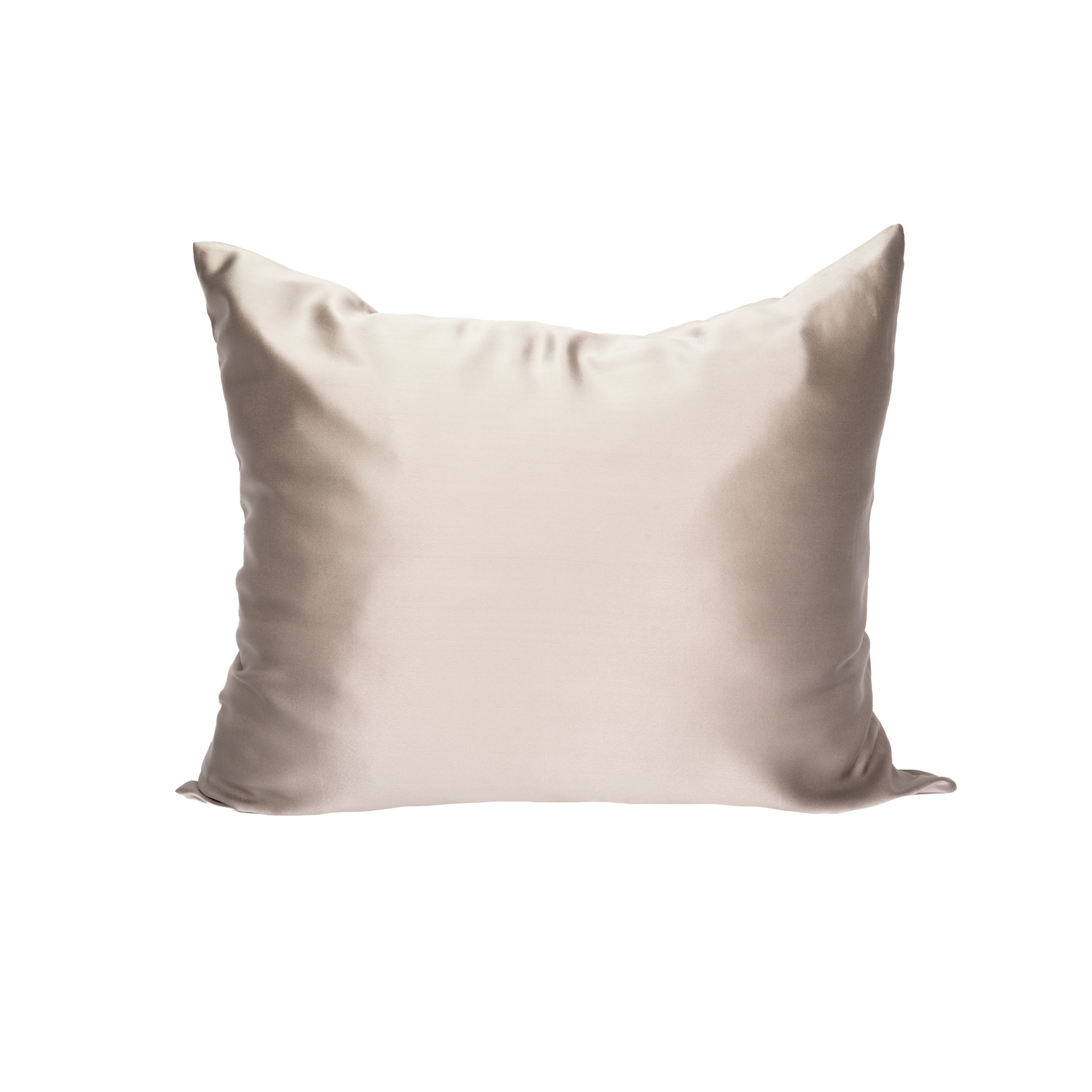 Siidist Padjapüür Oyster